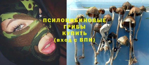 каннабис Алзамай