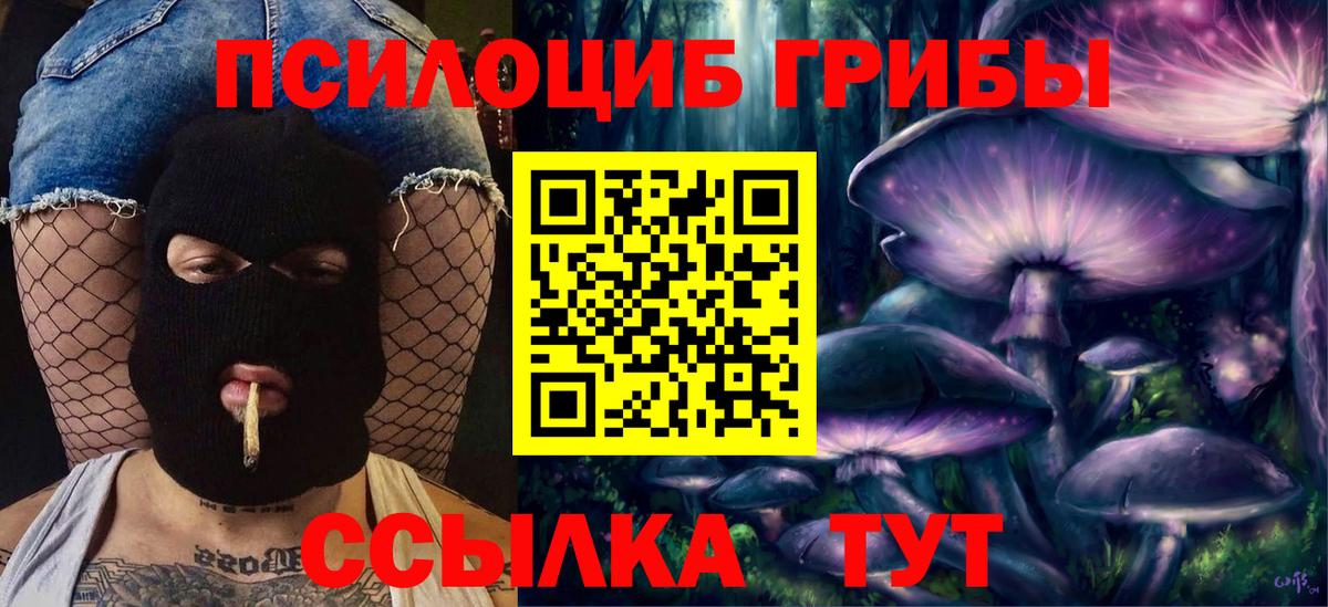 Псилоцибиновые грибы мицелий  Вход с VPN  Псилоцибиновые грибы прущие грибы  Алушта 